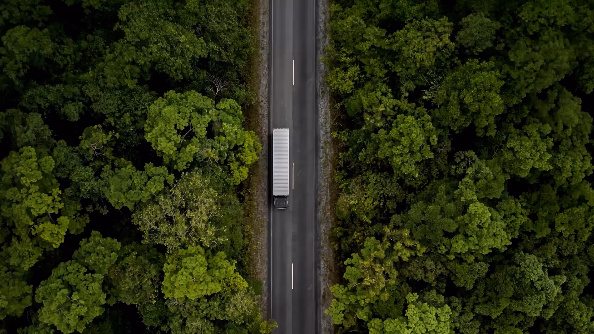 Un camión circulando por una carretera estrecha rodeada de un bosque verde y denso, visto desde arriba.