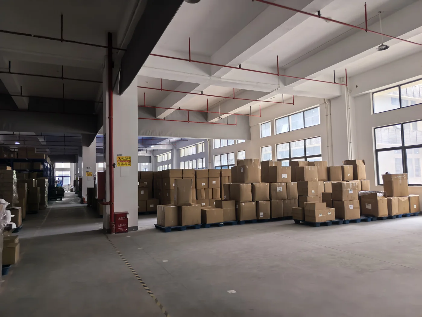 Palletized cartons in the warehouse storage area